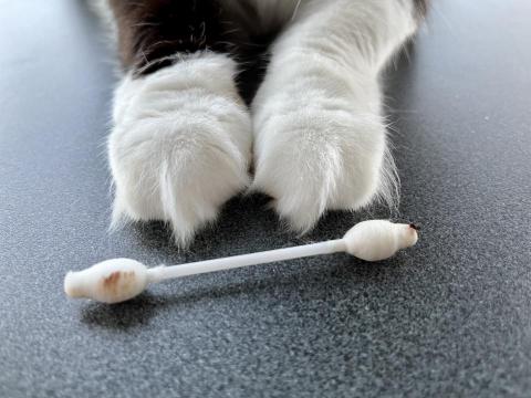 呼嚕無限公司 - 每天都要把眼角清乾淨唷! 呼嚕無限公司 - 每天都要把眼角清乾淨唷!