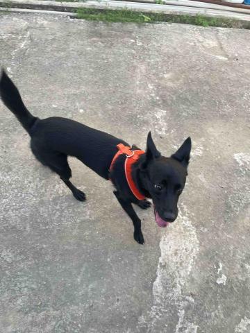 提供托運服務的專家阿霆