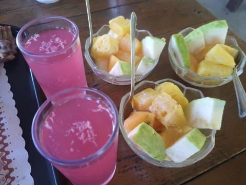 康雅雯 - 春耕園的洛神花汁和水果