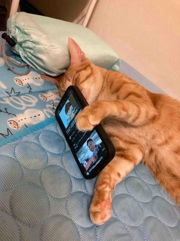 提供應用程式服務的專家陳威達