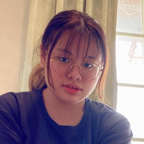 提供工作內容服務的專家林小姐