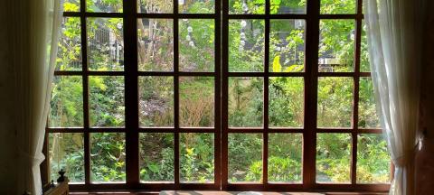 Plant & Speaking - 商空植栽規劃及施工