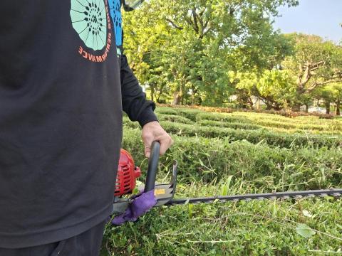 凡來商行 - 綠籬修剪