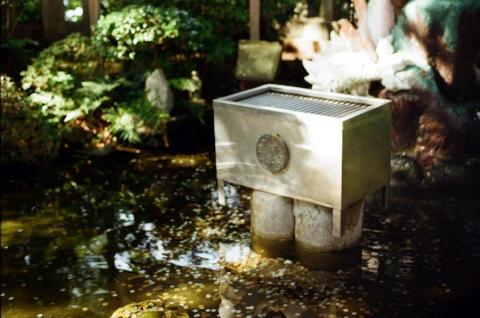 Inez  - 攝影_nikon fm2