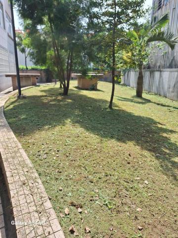 凡來商行 - 割草後