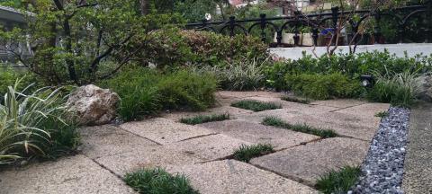 Plant & Speaking - 私宅植栽規劃及施工