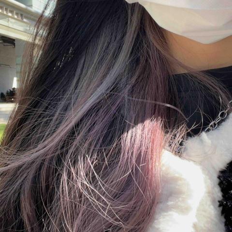 提供數學教學服務的專家李欣穎