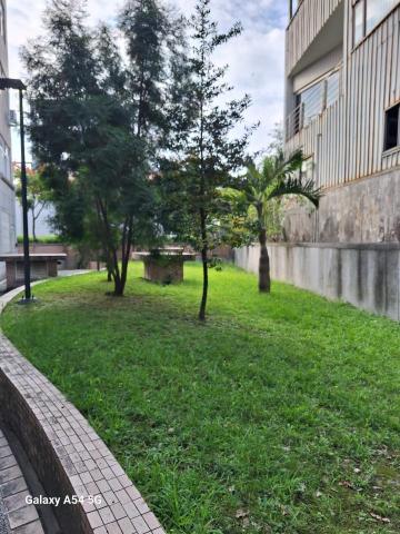 凡來商行 - 割草前