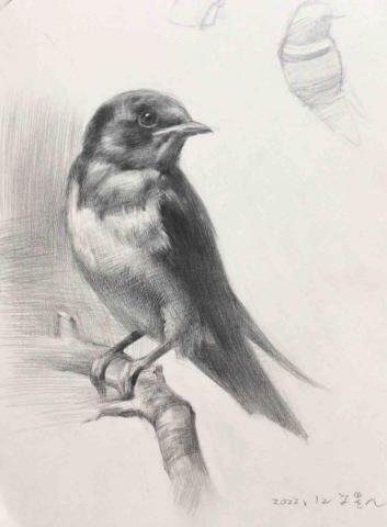 lee kai - 課堂素描示範（鉛筆）