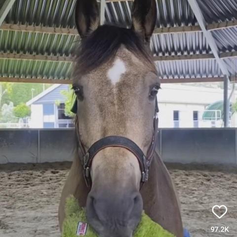 提供北港租套房服務的專家李元嘉