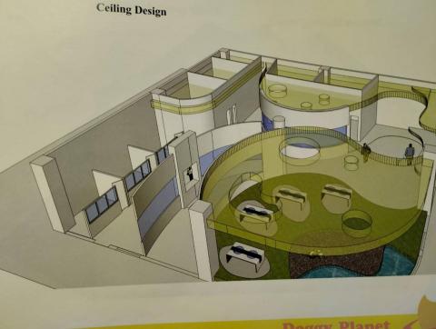 楊喻睿 -  楊喻睿 -