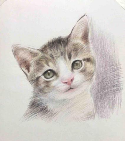 lee kai - 色鉛筆教學示範