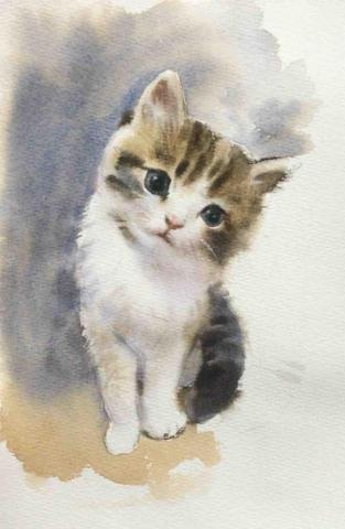 lee kai - 水彩（貓咪）