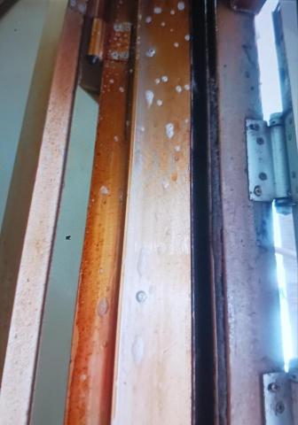 泰鑫專業居家清潔 - 