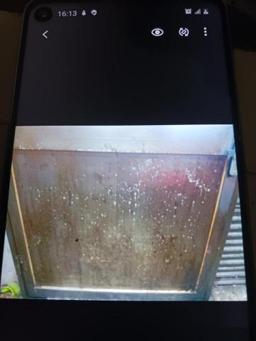 泰鑫專業居家清潔 - 