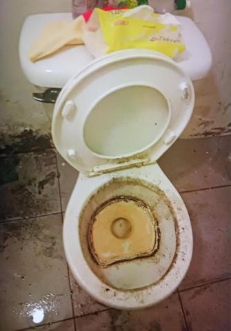 泰鑫專業居家清潔 - 