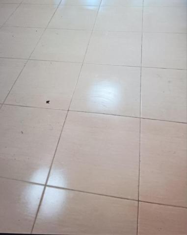 泰鑫專業居家清潔 - 