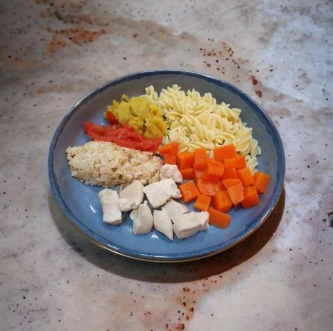 Mia - 我家狗狗每天都吃不同的鮮食