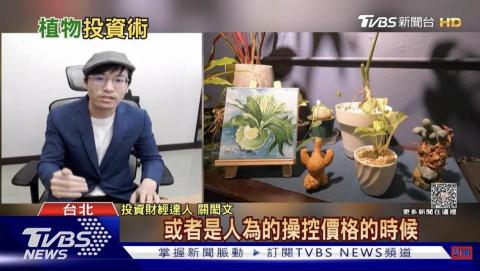 關閎文 - 新聞採訪：投資財經達人