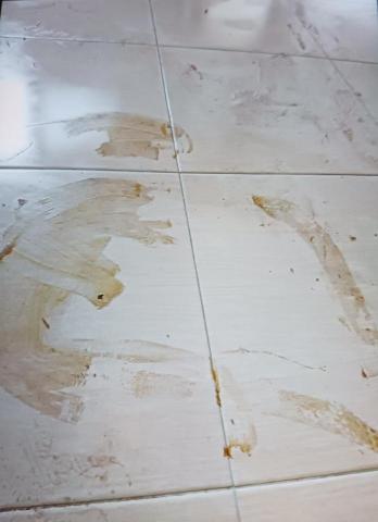 泰鑫專業居家清潔 - 