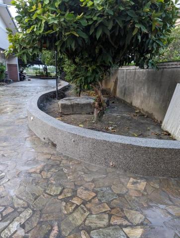 林承洋 -  林承洋 -