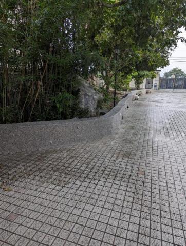 林承洋 -  林承洋 -