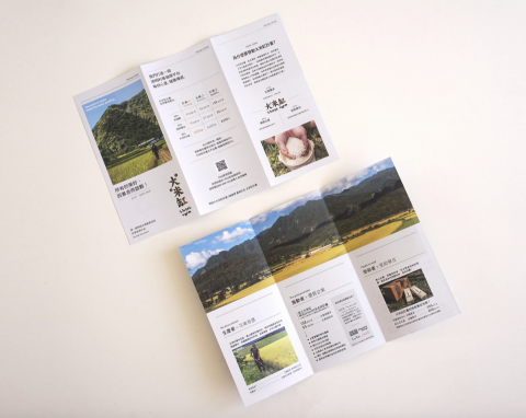 小玉 - 摺頁設計/DM、印刷品