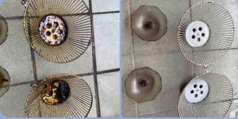 敏兒 個人居家清潔（創潔） - 