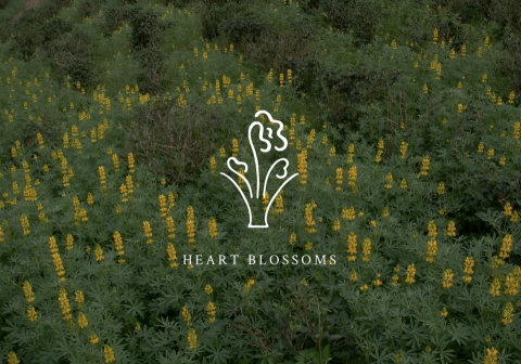 小玉 - 品牌規劃設計/logo