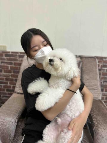 水牛新竹寵物保姆 - 