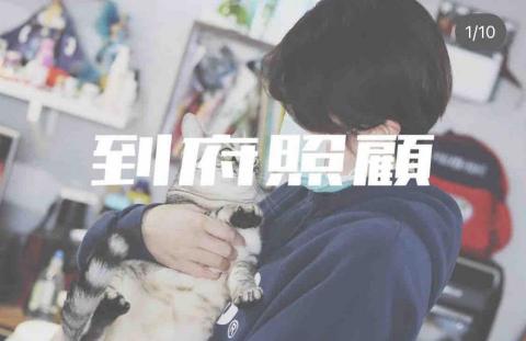 水牛新竹寵物保姆 - 到府照顧