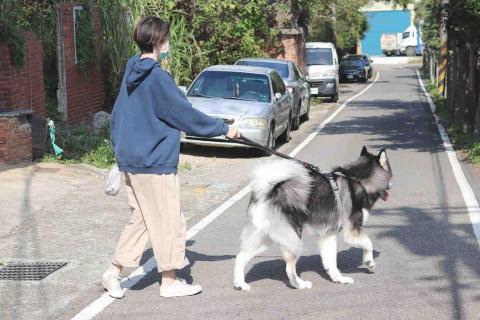 水牛新竹寵物保姆 - 散步服務