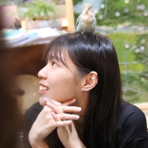 提供排版ppt服務的專家YiTing