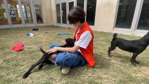 水牛新竹寵物保姆 - 收容所的小朋友