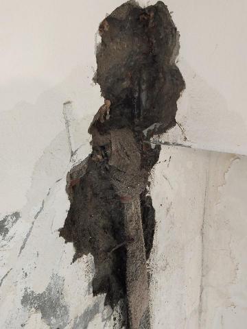 竣鼎防水抓漏工程行 - 給水管破裂修繕