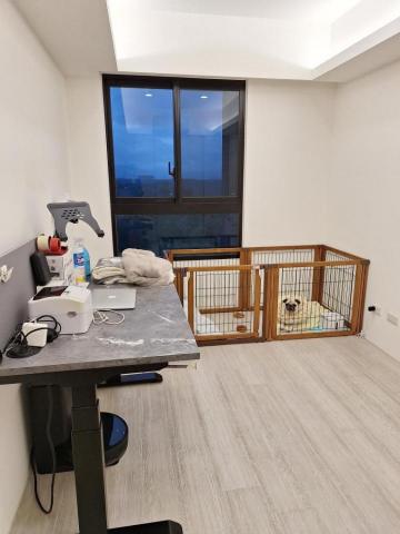 潘峙蓚 - 毛小孩的快樂天堂