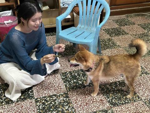 水牛新竹寵物保姆 - 蛋哥