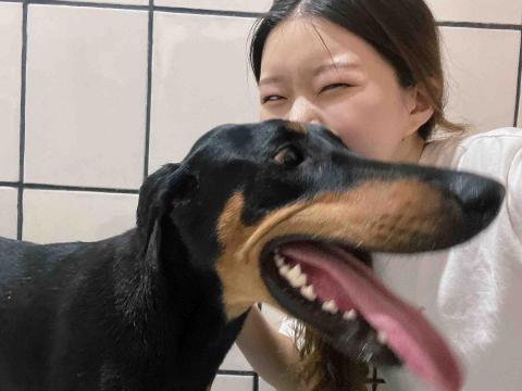 水牛新竹寵物保姆 - 狗婷