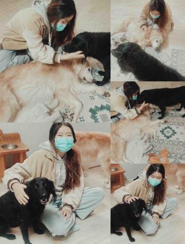 水牛新竹寵物保姆 - 家訪