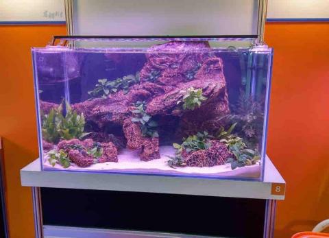 傾聽毛孩聲 - 台北水族展佳作