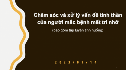 鄭沛汝(越南文雙語專業翻譯) - 老人長照PPT翻譯(中翻越)