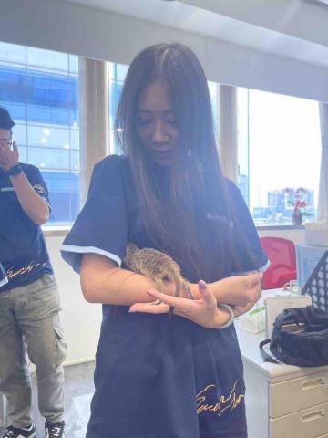 ㄚ莓-三重區周邊寵物保姆 - 