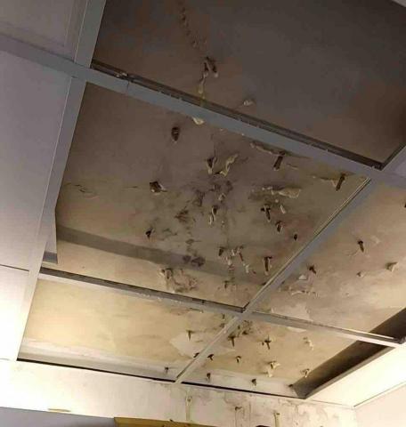 金特立 - 高壓灌注完成止漏