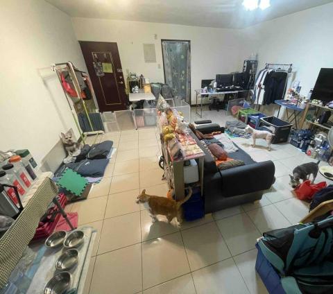 寵物保姆_雪仁 - 