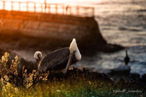 廖祖宇 - 後期調色
