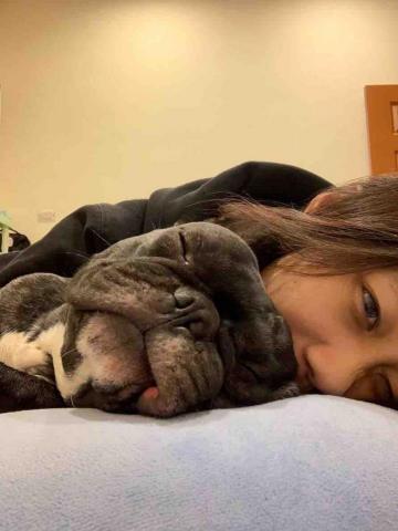 ㄚ莓-三重區周邊寵物保姆 - 