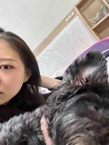 ㄚ莓-三重區周邊寵物保姆 - 