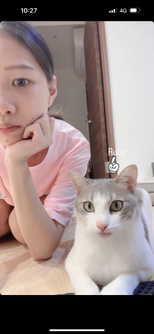 ㄚ莓-三重區周邊寵物保姆 - 