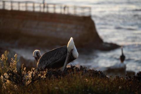 廖祖宇 - 調色前