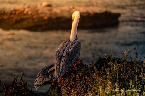 廖祖宇 - 後期調色